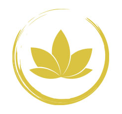 plexus